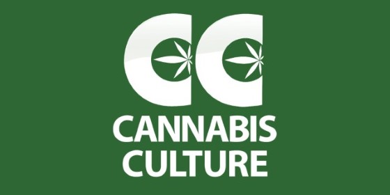 Cannabis Culture magazin